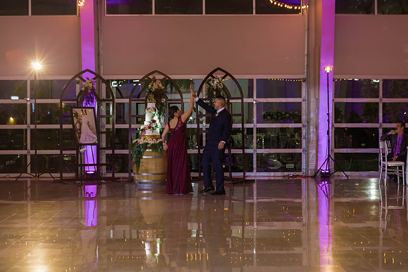 12-1-2018_Mina and Jason Say I Do_-388