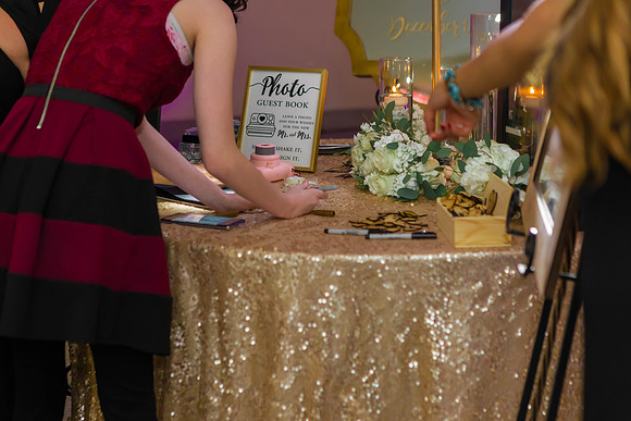 12-1-2018_Mina and Jason Say I Do_-208