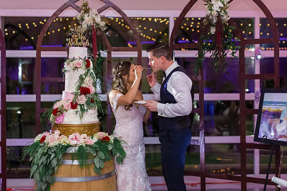 12-1-2018_Mina and Jason Say I Do_-1066