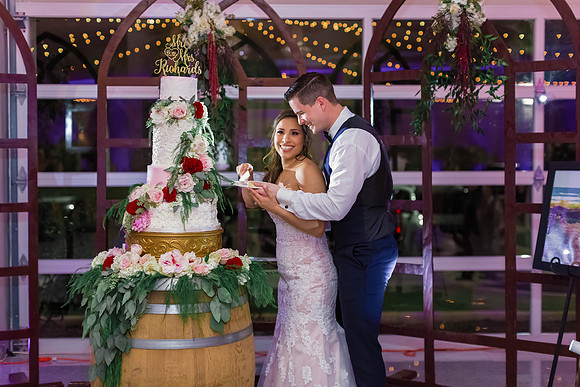 12-1-2018_Mina and Jason Say I Do_-1061