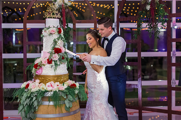 12-1-2018_Mina and Jason Say I Do_-1052
