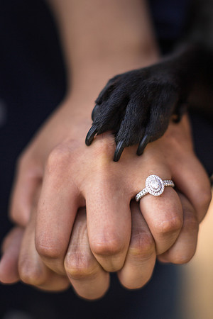 5-27-2019_ Priscilla and cecilia Engagement-325