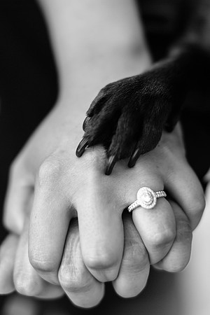 5-27-2019_ Priscilla and cecilia Engagement-328