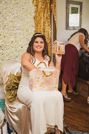 10_15_16 Jasmine B Bridal Shower-305