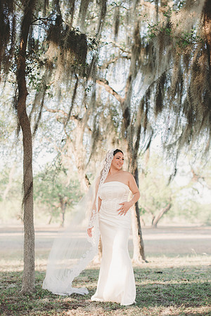 3-25-2016_Cecilia Bridals-433