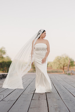 3-25-2016_Cecilia Bridals-653