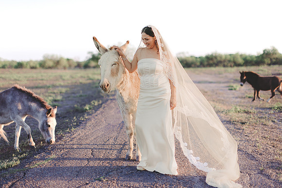 3-25-2016_Cecilia Bridals-738