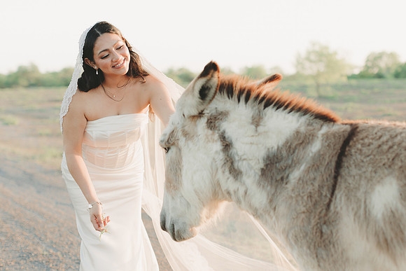 3-25-2016_Cecilia Bridals-803