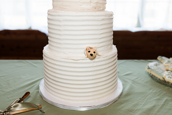 1-31-26_D'Andra and Michael Wedding-1866