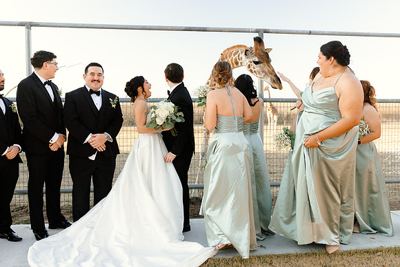 1-31-26_D'Andra and Michael Wedding-894