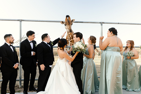 1-31-26_D'Andra and Michael Wedding-1069
