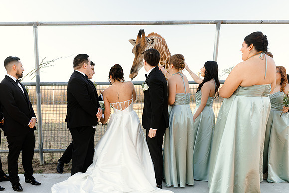 1-31-26_D'Andra and Michael Wedding-1208