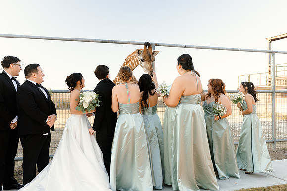 1-31-26_D'Andra and Michael Wedding-1240