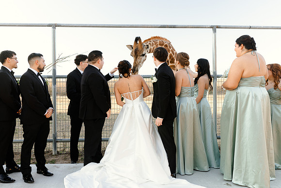 1-31-26_D'Andra and Michael Wedding-1324