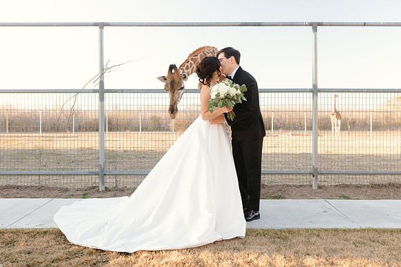 1-31-26_D'Andra and Michael Wedding-1430