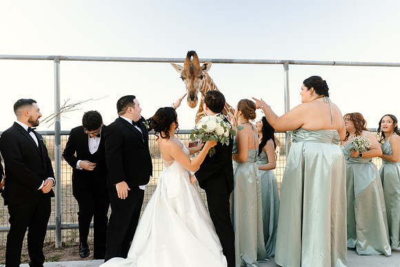 1-31-26_D'Andra and Michael Wedding-1709