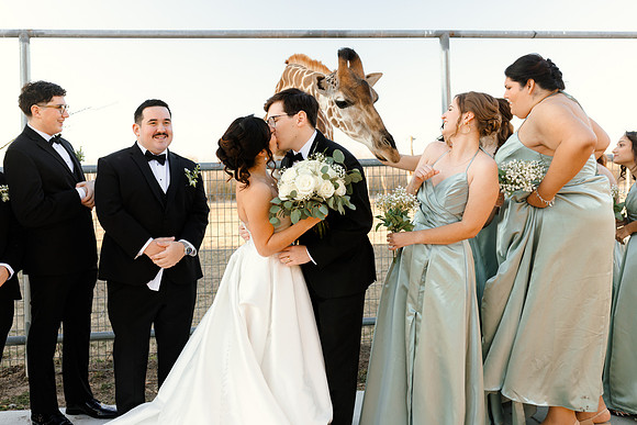 1-31-26_D'Andra and Michael Wedding-2376