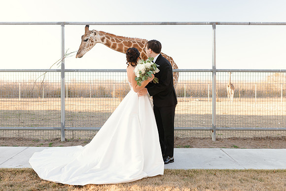 1-31-26_D'Andra and Michael Wedding-2591