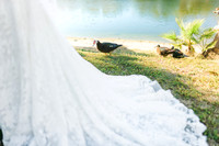2-7-26_Vrianna and Armando Wedding-168