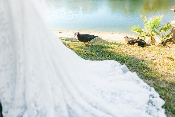 2-7-26_Vrianna and Armando Wedding-168