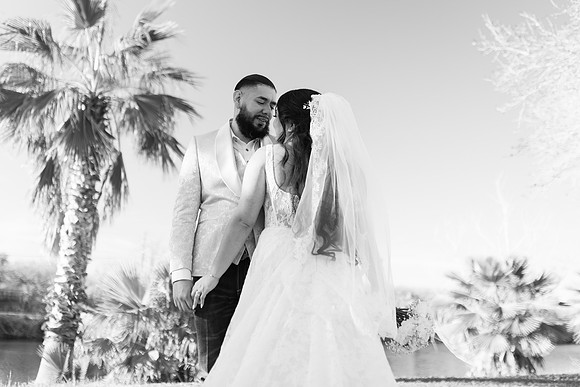 2-7-26_Vrianna and Armando Wedding-1693