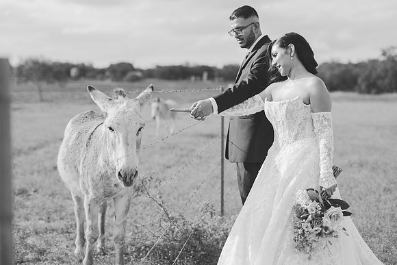 5-16-26_Cecilia and Chris Wedding-1471