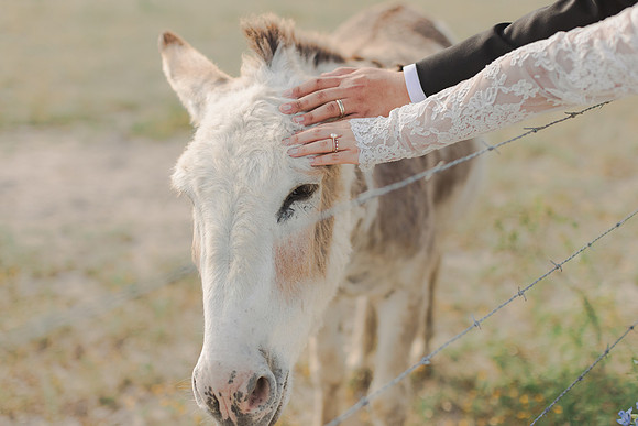 5-16-26_Cecilia and Chris Wedding-1576