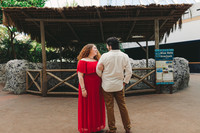 4-5-25_VIANEY AND FREDDY ENGAGEMENTS-82