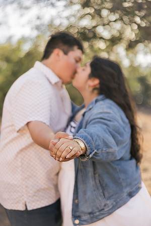 9-4-26_Maricela and Enrique Engagements-460