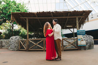 4-5-25_VIANEY AND FREDDY ENGAGEMENTS-67