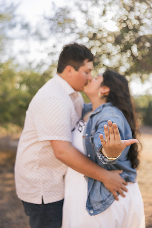 9-4-26_Maricela and Enrique Engagements-464