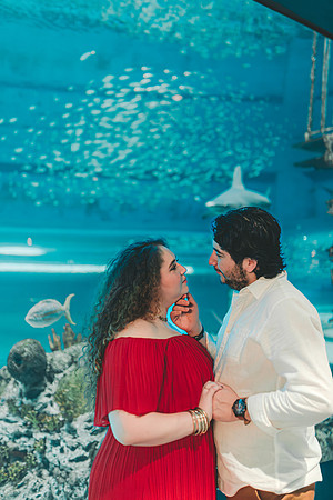 4-5-25_VIANEY AND FREDDY ENGAGEMENTS-624-Enhanced-NR
