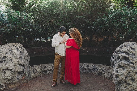 4-5-25_VIANEY AND FREDDY ENGAGEMENTS-206