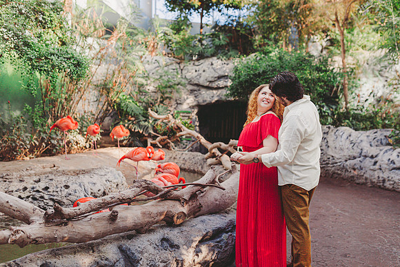 4-5-25_VIANEY AND FREDDY ENGAGEMENTS-420