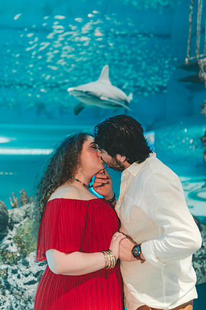 4-5-25_VIANEY AND FREDDY ENGAGEMENTS-622-Enhanced-NR
