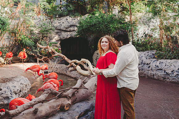 4-5-25_VIANEY AND FREDDY ENGAGEMENTS-395
