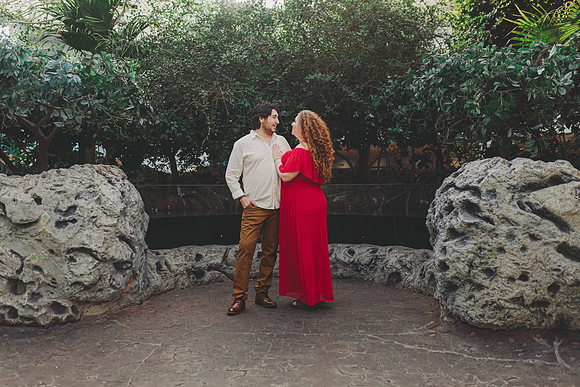 4-5-25_VIANEY AND FREDDY ENGAGEMENTS-225