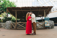 4-5-25_VIANEY AND FREDDY ENGAGEMENTS-32