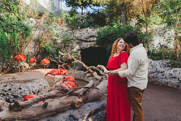 4-5-25_VIANEY AND FREDDY ENGAGEMENTS-430