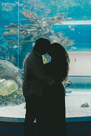 4-5-25_VIANEY AND FREDDY ENGAGEMENTS-642-Enhanced-NR