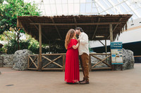 4-5-25_VIANEY AND FREDDY ENGAGEMENTS-30
