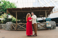 4-5-25_VIANEY AND FREDDY ENGAGEMENTS-61