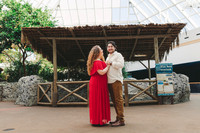 4-5-25_VIANEY AND FREDDY ENGAGEMENTS-60