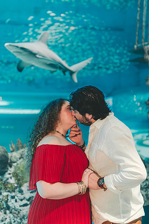 4-5-25_VIANEY AND FREDDY ENGAGEMENTS-628-Enhanced-NR