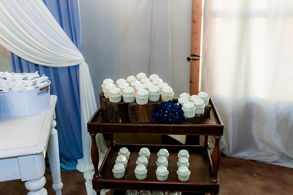11-16-24_lori and Rj wedding-1171