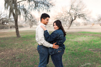 2-27-25_julianne Engagements-38