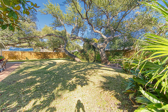 EXT_01_17_22 Trelawney N Austin-26