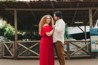 4-5-25_VIANEY AND FREDDY ENGAGEMENTS-43