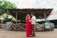 Vianey and Freddy Engagements