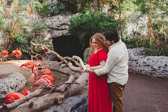 4-5-25_VIANEY AND FREDDY ENGAGEMENTS-398